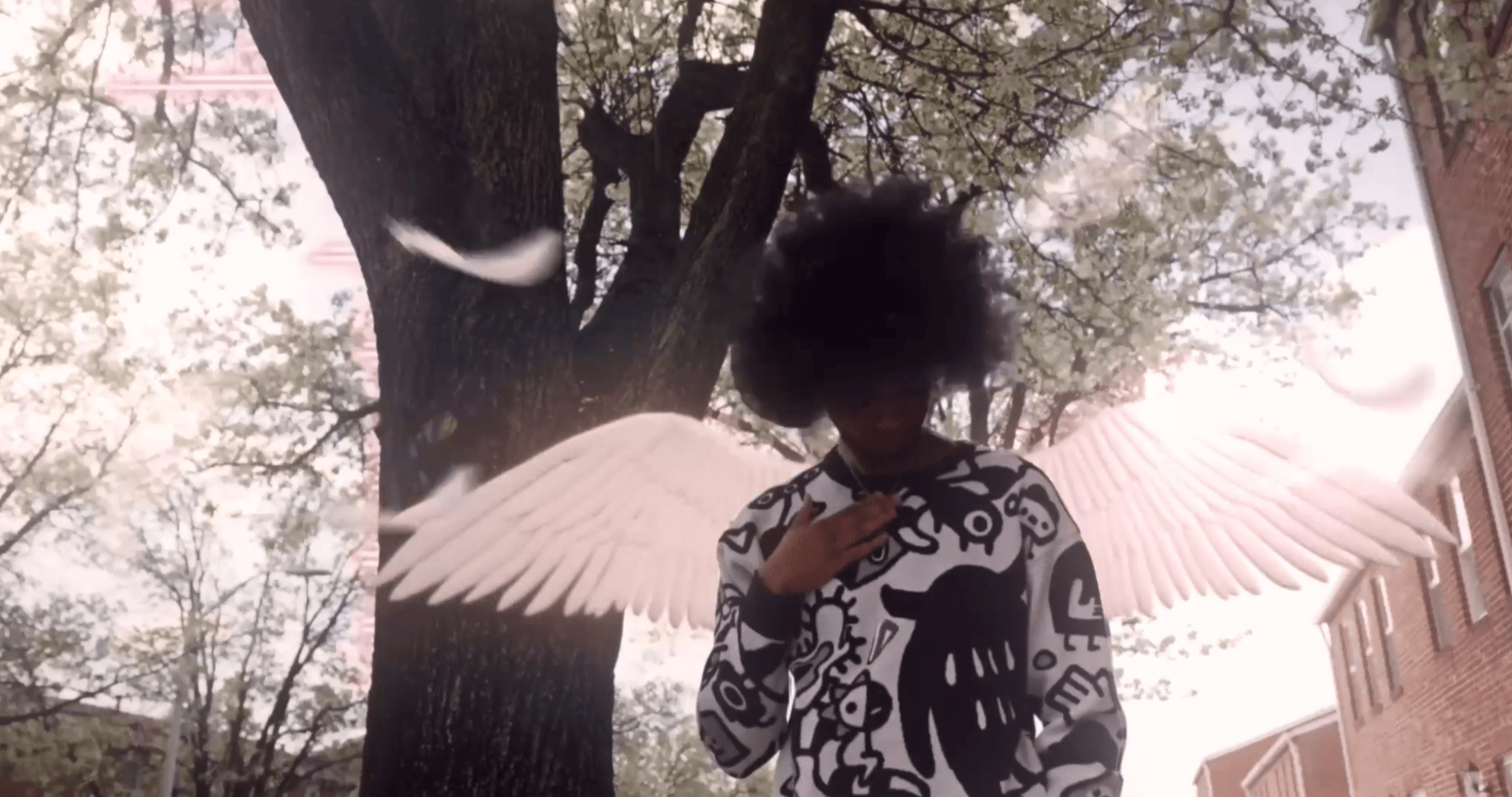 Video